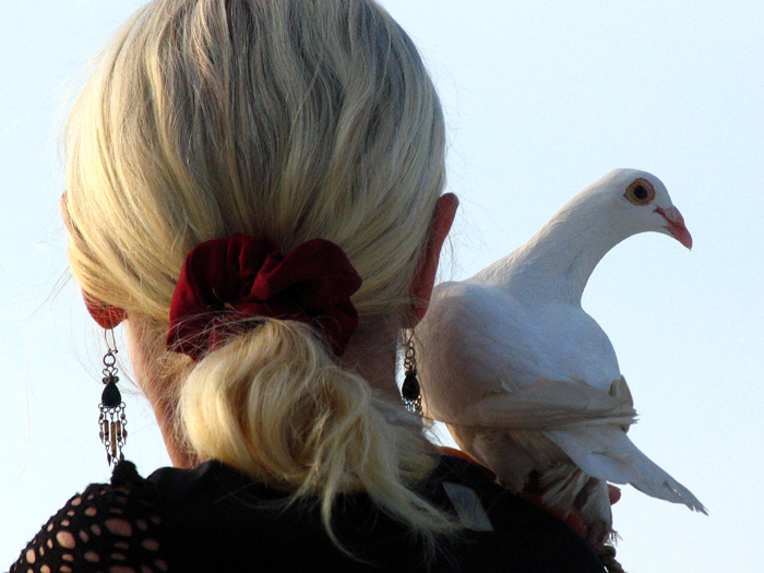 Fauna_04