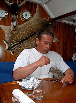 Seegalt_04